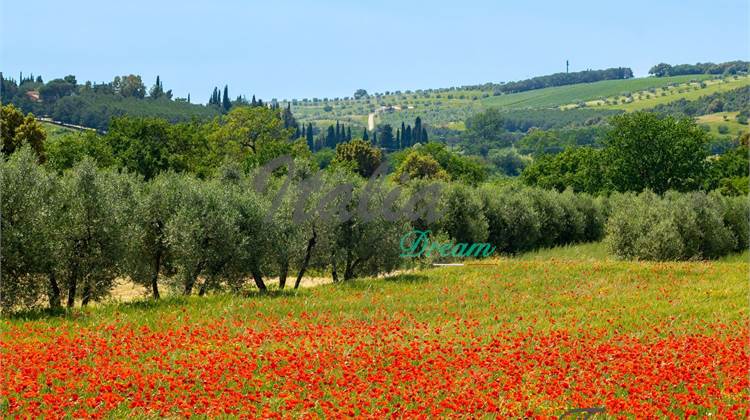 Rustico / Casale In Vendita a Massa Marittima