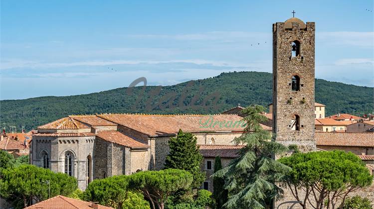 Appartement Dans Vente à Massa Marittima