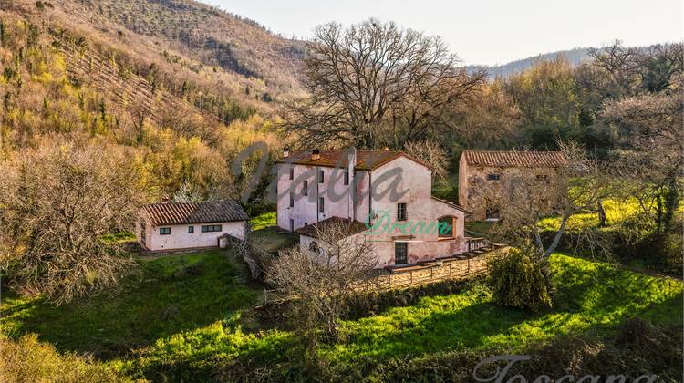 Autentica e antica fattoria toscana 