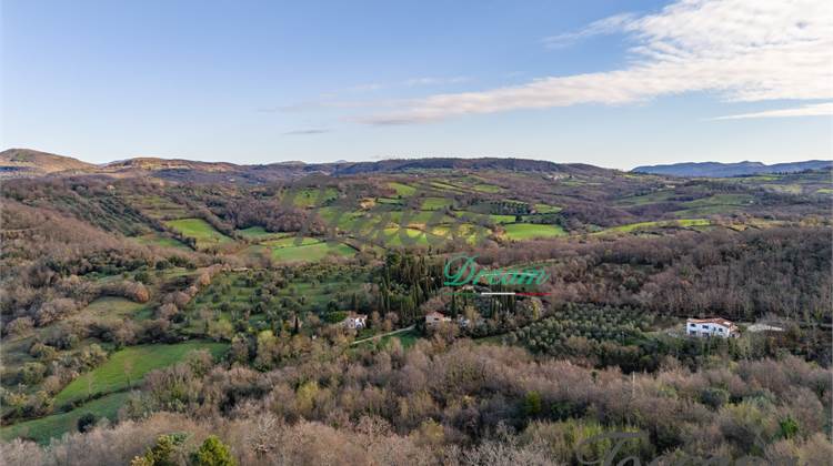La Villa dei Tre Orizzonti: Prestigio Personalizzabile tra Saturnia, l'Argentario e l'Amiata